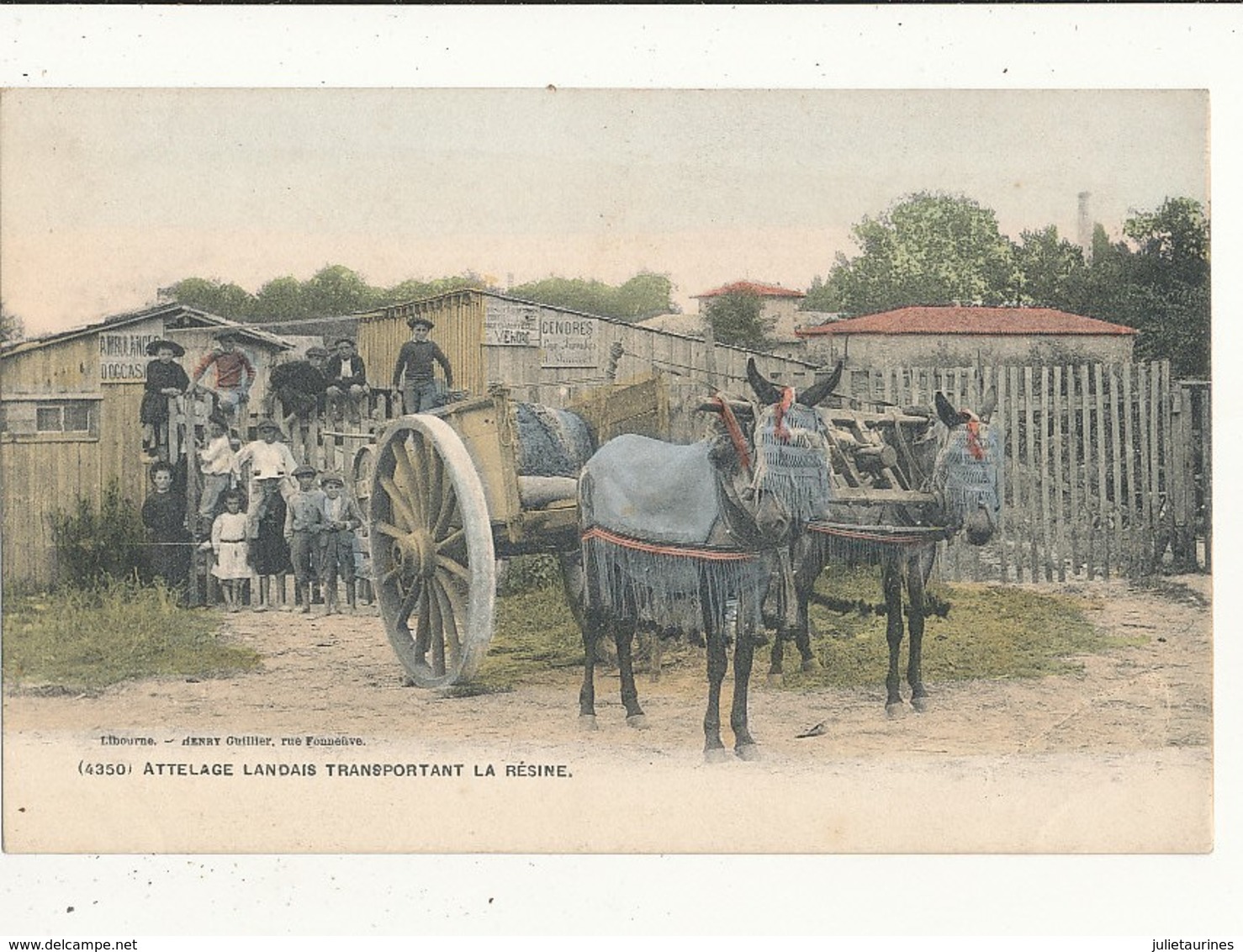 LANDES ATTELAGE LANDAIS TRANSPORTANT LA RESINE CPA BON ETAT - Autres & Non Classés