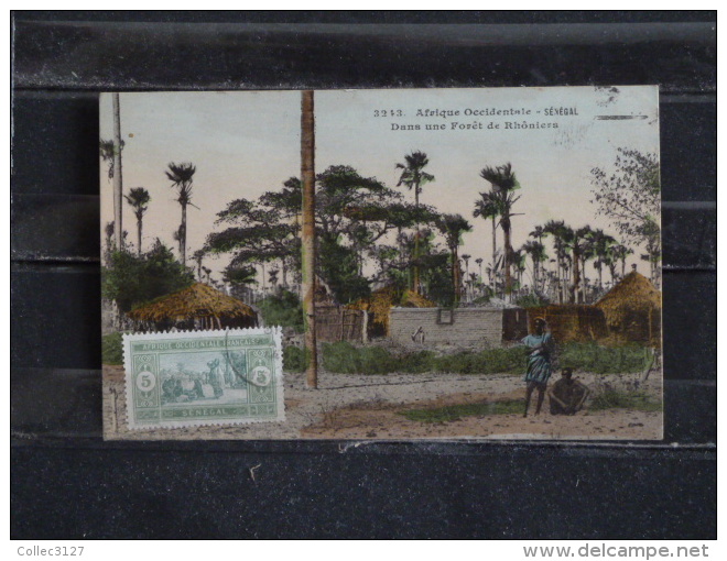 Z23  - Afrique Occidentale - Senegal -  Dans Une Forêt De Rhoniers - Collection Fortier - Sénégal