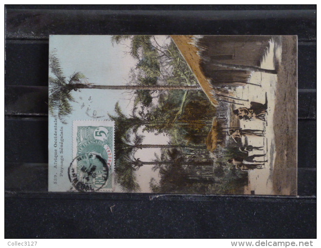 Z23  - Afrique Occidentale - Senegal -  Paysage Sénégalais - Collection Fortier - Sénégal