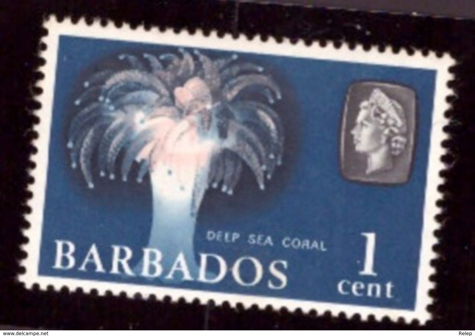 Barbados - 1965 Marine Life # MNH # - Barbades (1966-...)