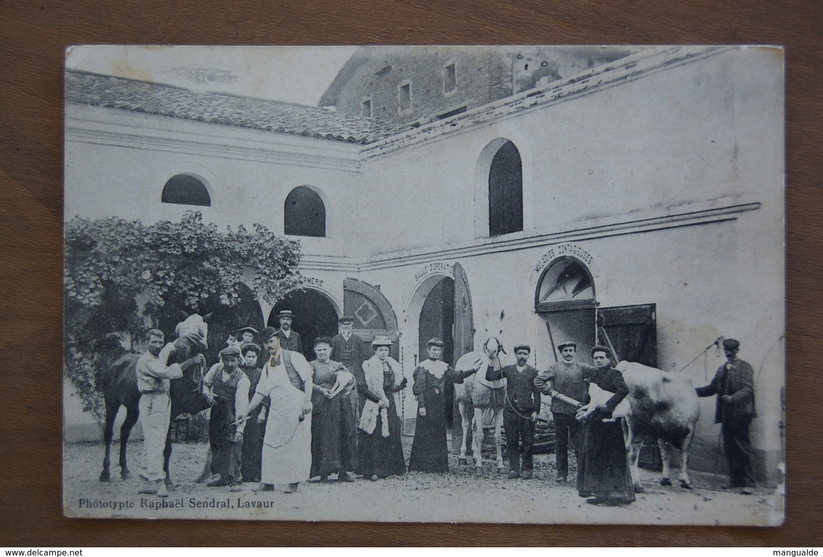 LAVAUR.  Médecin Vétérinaire 1 ère Photo Sans Enseigne   (phototype Sendral) - Lavaur