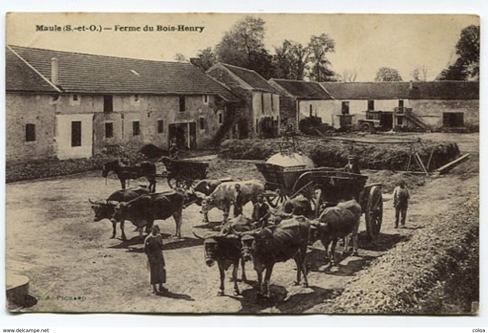 MAULE Ferme Du Bois-Henry - Other & Unclassified