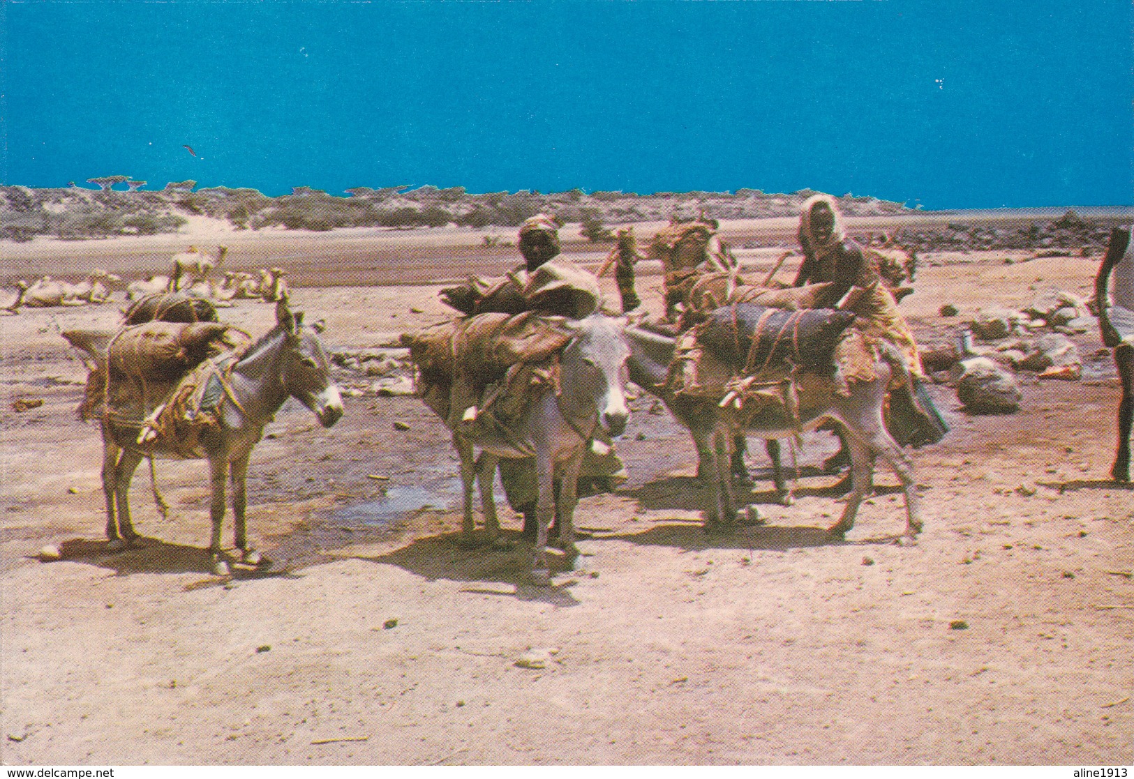 DJIBOUTI / POINT D'EAU VERS DORALE / VUE UNIQUE / ANES - Djibouti