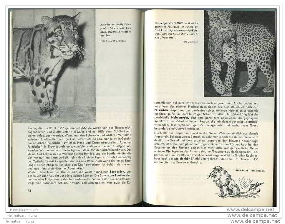 Deutschland - Wegweiser Durch Den Zoologischen Garten Berlin 1961 - Bearbeitet Vom Wissenschaftlichen Direktor Dr. - Reiseprospekte