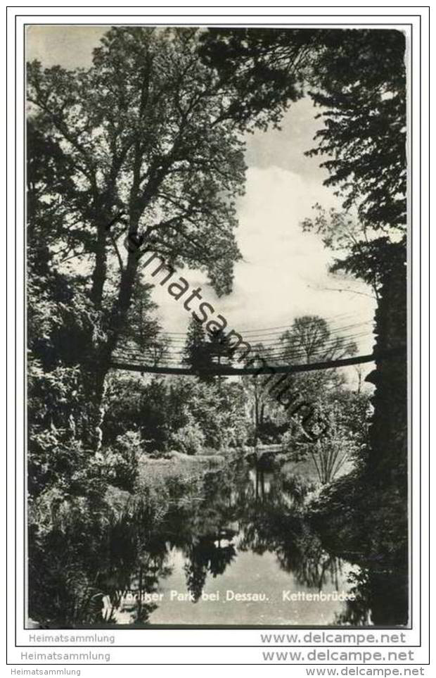 Wörlitzer Park - Kettenbrücke - Foto-AK 50er Jahre - Woerlitz