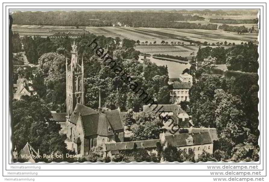 Wörlitzer Park - Gesamtansicht - Foto-AK 50er Jahre - Woerlitz