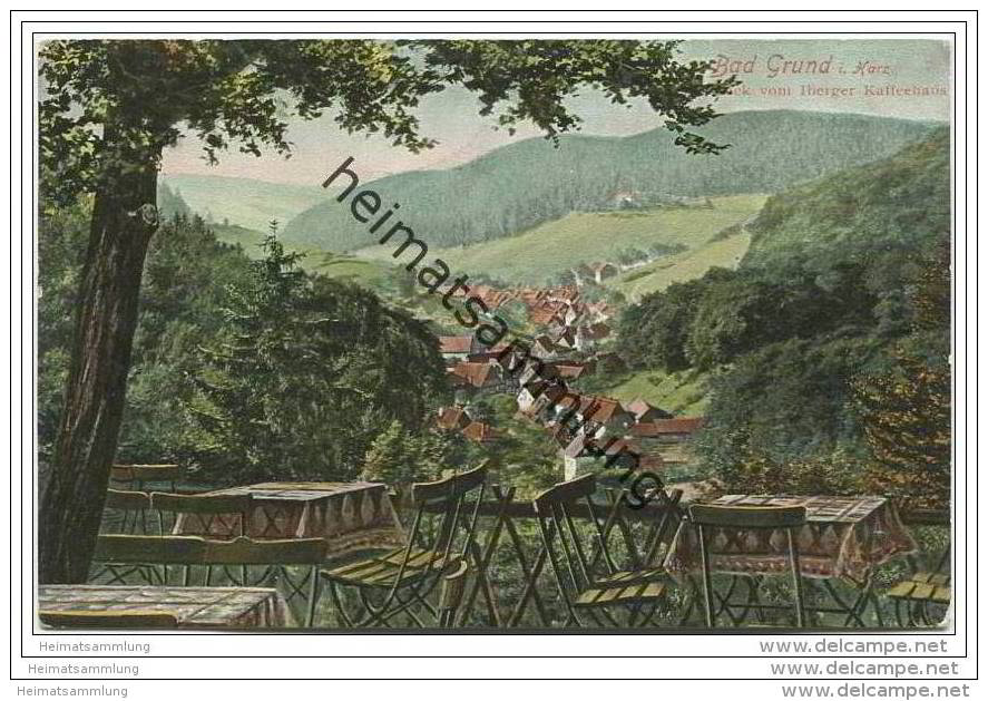 Bad Grund (Oberharz) - Panorama - Blick Vom Iberger Kaffeehaus Ca. 1910 - Bad Grund