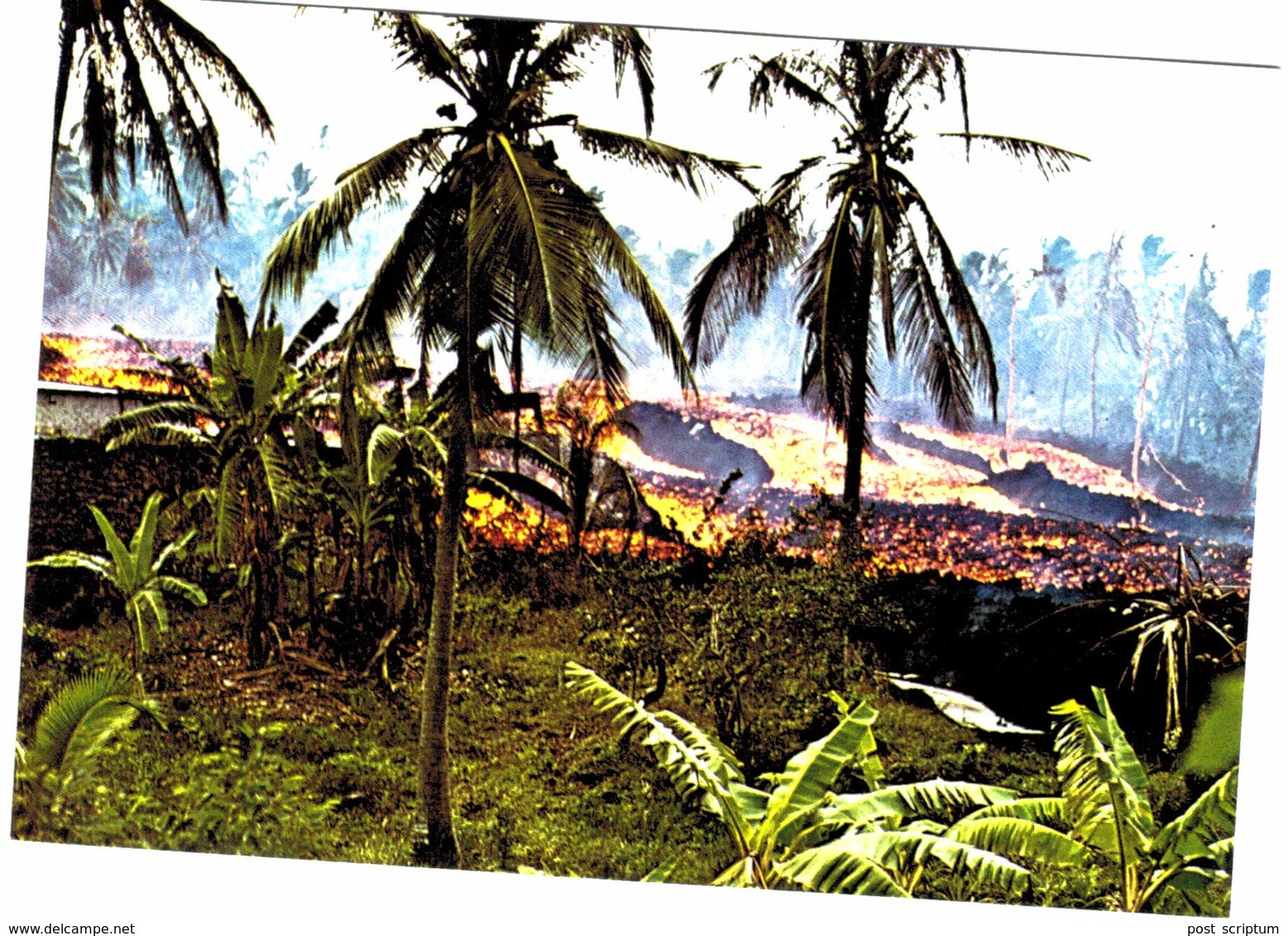 Afrique - Comores - Coulée De Lave à Singani - Grande Comore 1977 - Comorre
