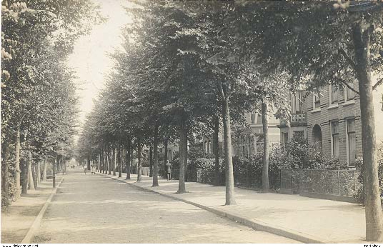 Wormerveer, Wandelweg     (originele Fotokaart) - Wormerveer