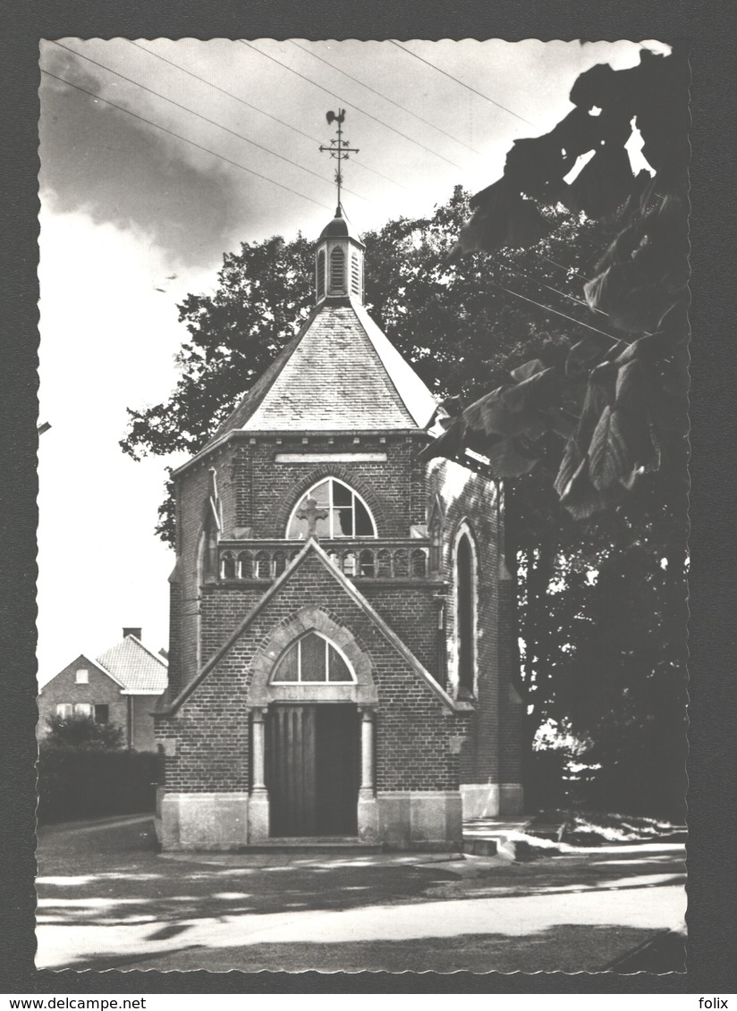 Meulebeke - Kapel O.L.V. Van Bijstand - Fotokaart - Nieuwstaat - Meulebeke