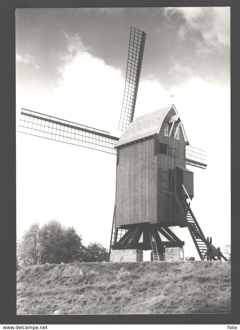 Oostvleteren - Molen - Fotokaart - Moulin / Mill - Nieuwstaat - Vleteren