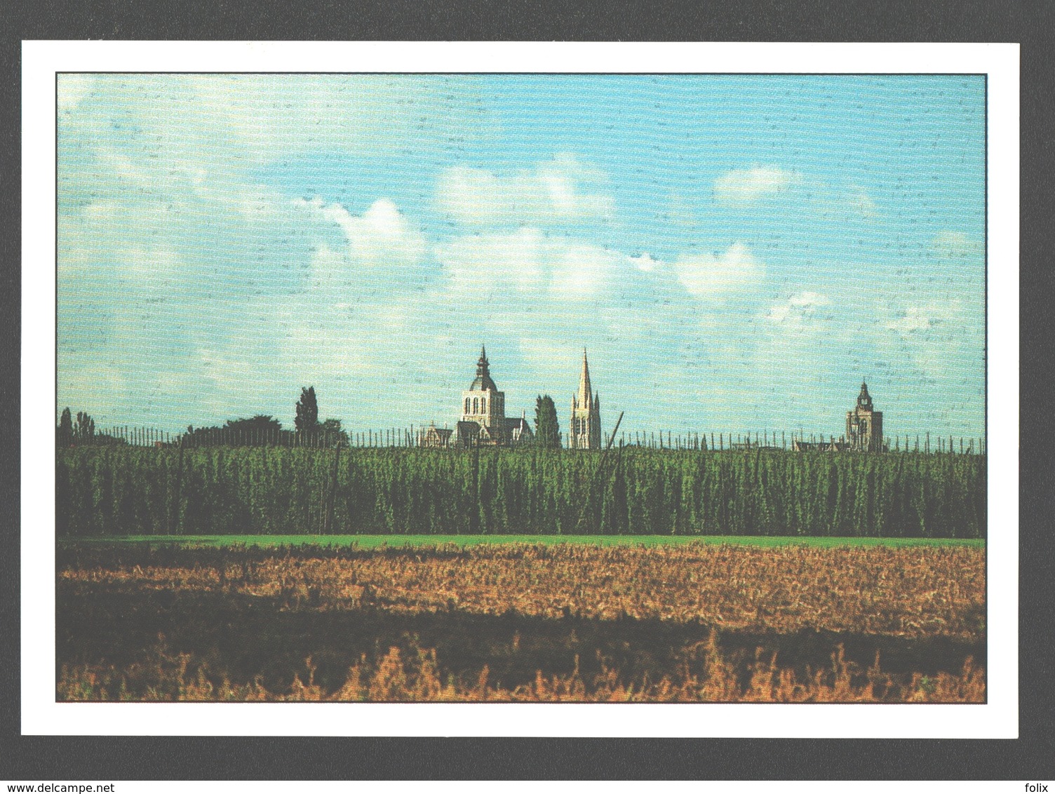 Poperinge - De 3 Kerken Met Hoppeveld - Hop / Houblon - Nieuwstaat - Poperinge