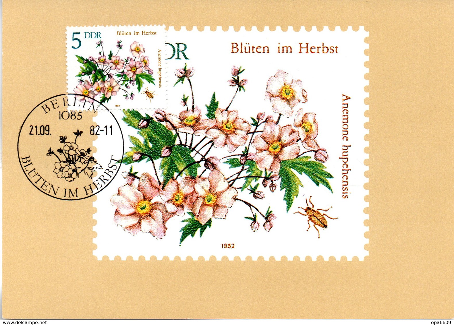 DDR Amtliche Maximumkarten Mi-Nr. 2737 ESSt. BERLIN  21.9.82 "Herbstblumen - Herbstanemone" - Maximumkarten (MC)