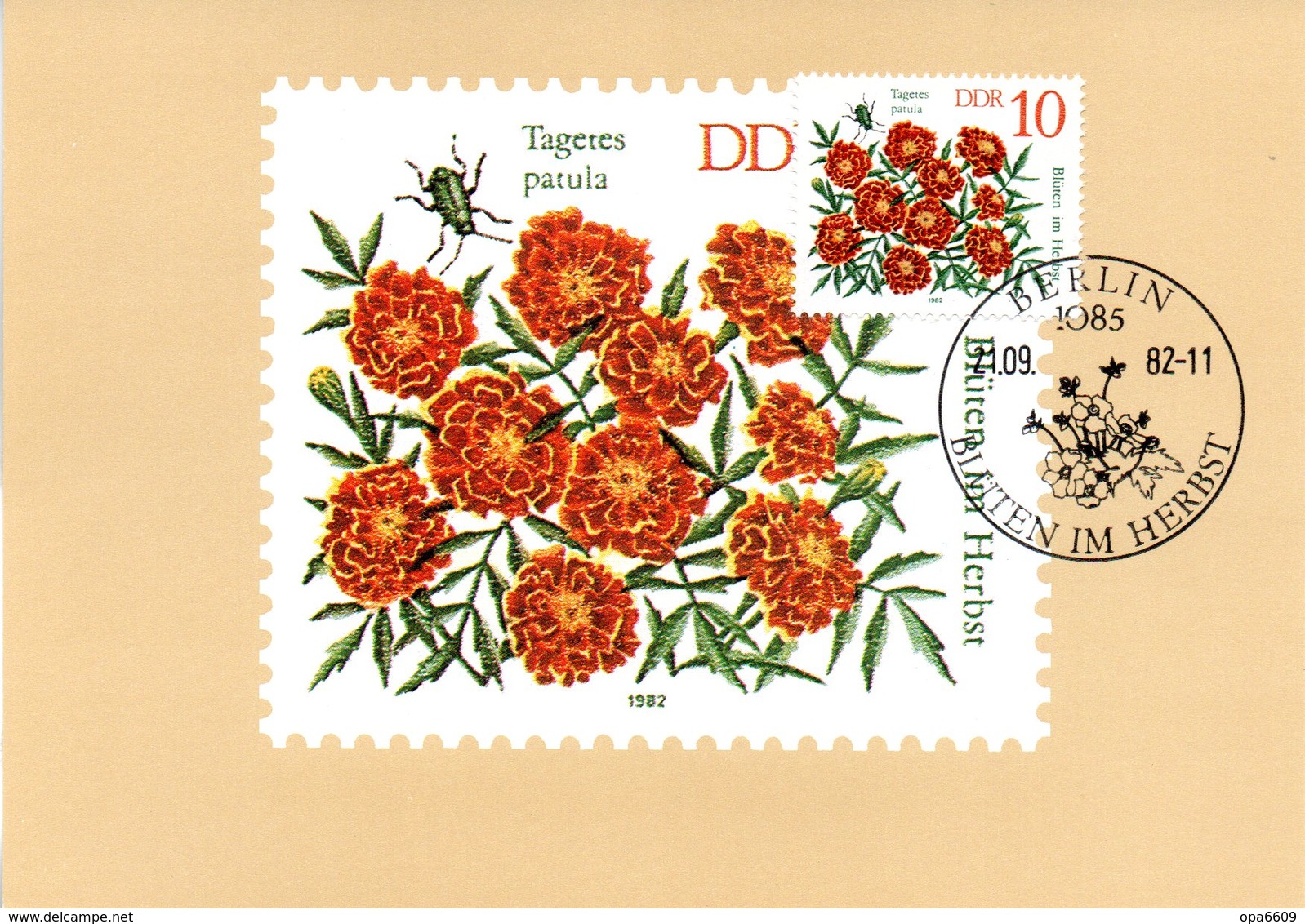 DDR Amtliche Maximumkarten Mi-Nr. 2738 ESSt. BERLIN  21.9.82 "Herbstblumen - Studentenblume" - Maximumkarten (MC)