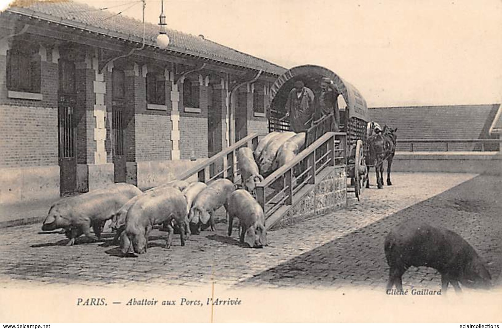 Paris 75019    Abattoir  Des Porcs  .L'arrivée    ( Coin Coupé Voir Scan)s - Otros & Sin Clasificación