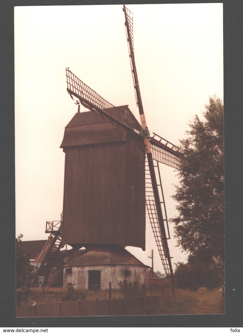 Werken - Kruisstraatmolen Of Berghesmolen - Moulin / Mill / Molen - Originele Foto - Kortemark