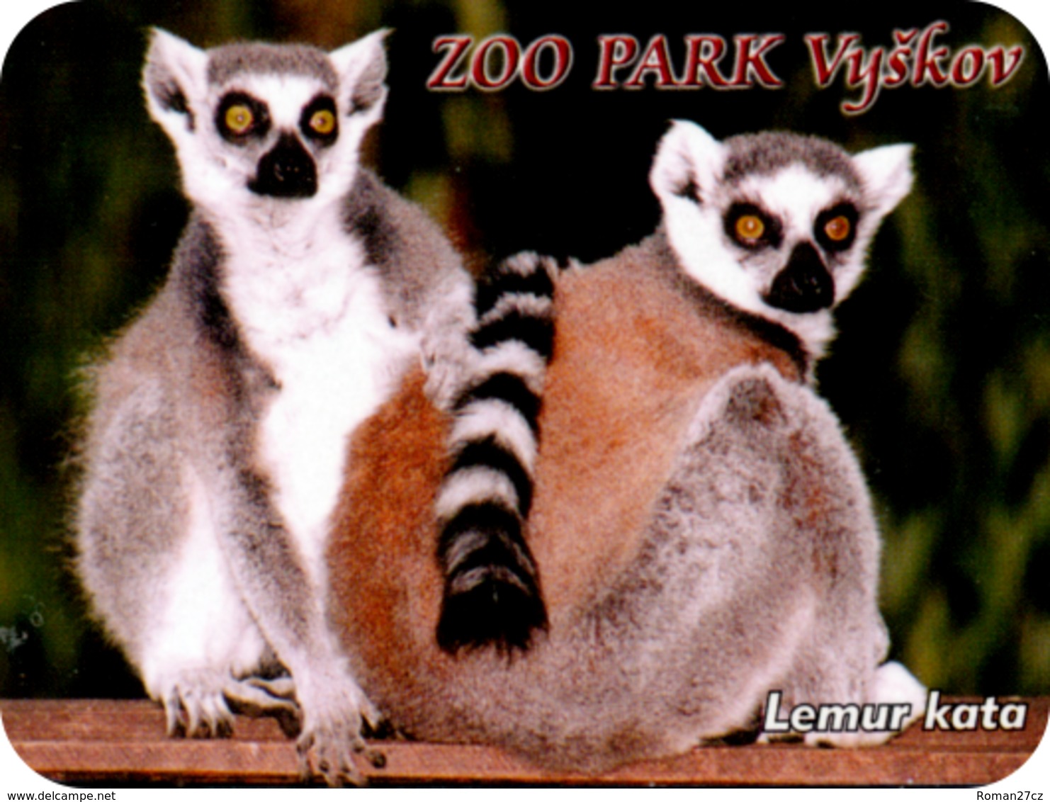 Zoo Park Vyskov (CZ) - Ring-tailed Lemur - Animaux & Faune