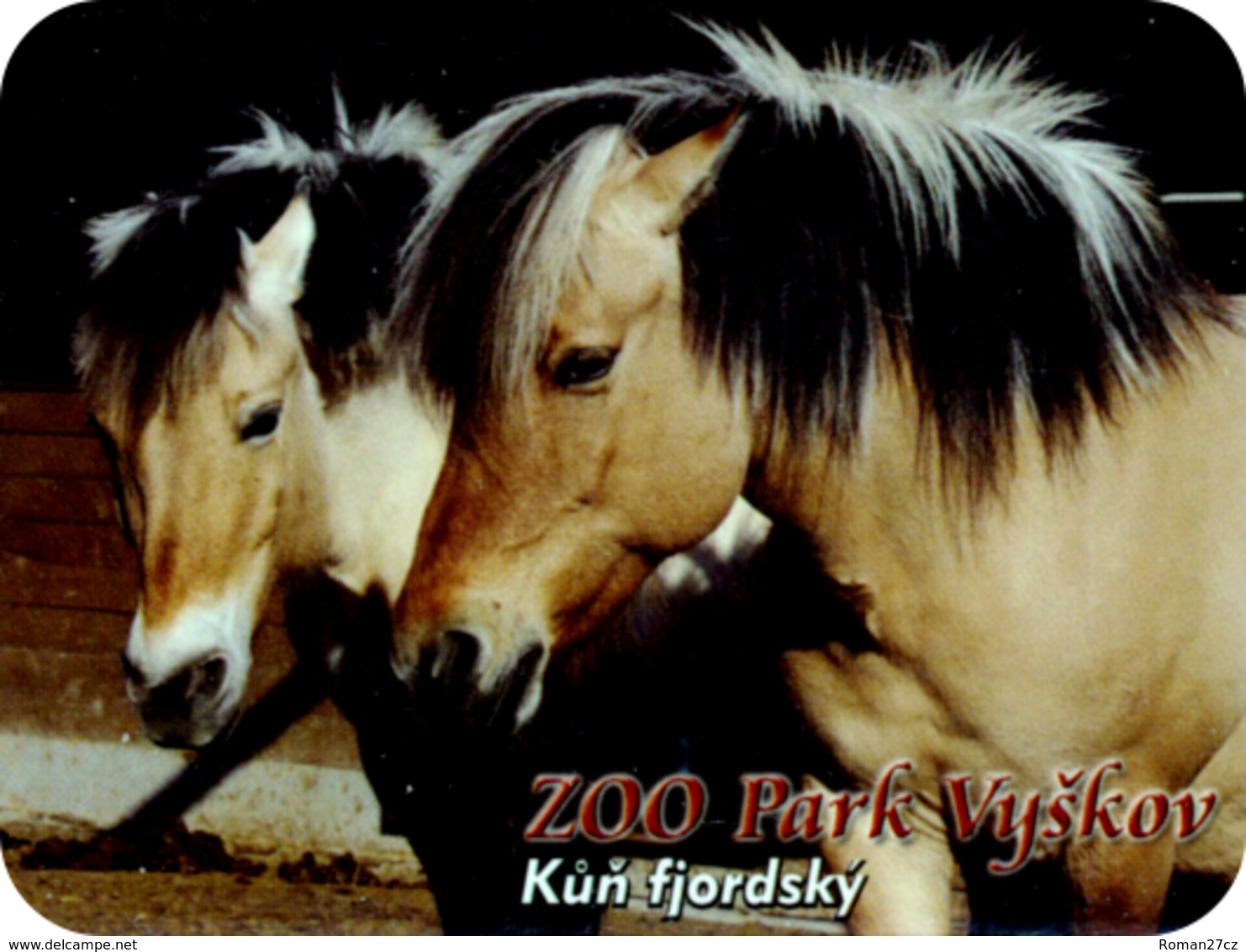 Zoo Park Vyskov (CZ) - Fjord Horse - Animaux & Faune