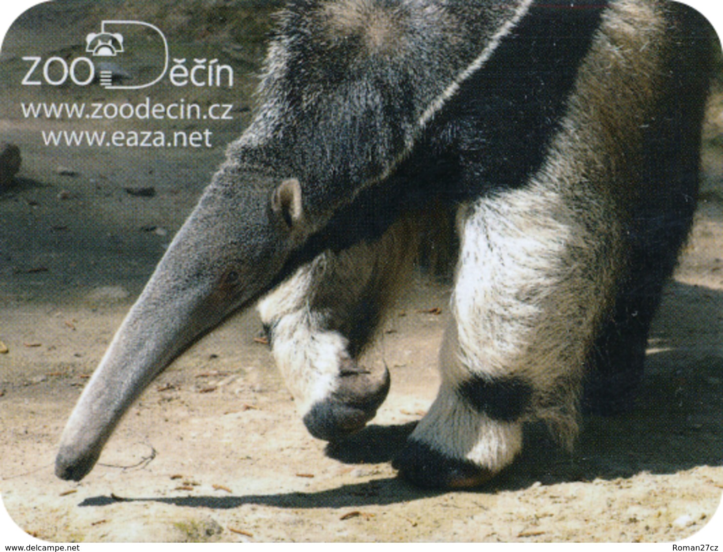 Zoo Decin (CZ) - Anteater - Dieren & Fauna