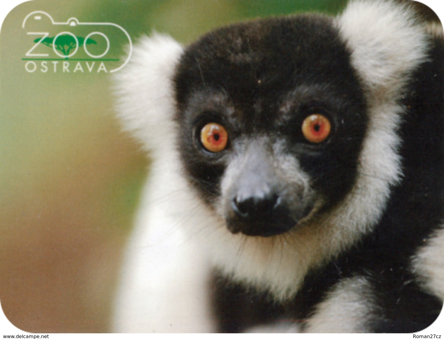 Zoo Ostrava (CZ) - Black And White Lemur - Animali & Fauna