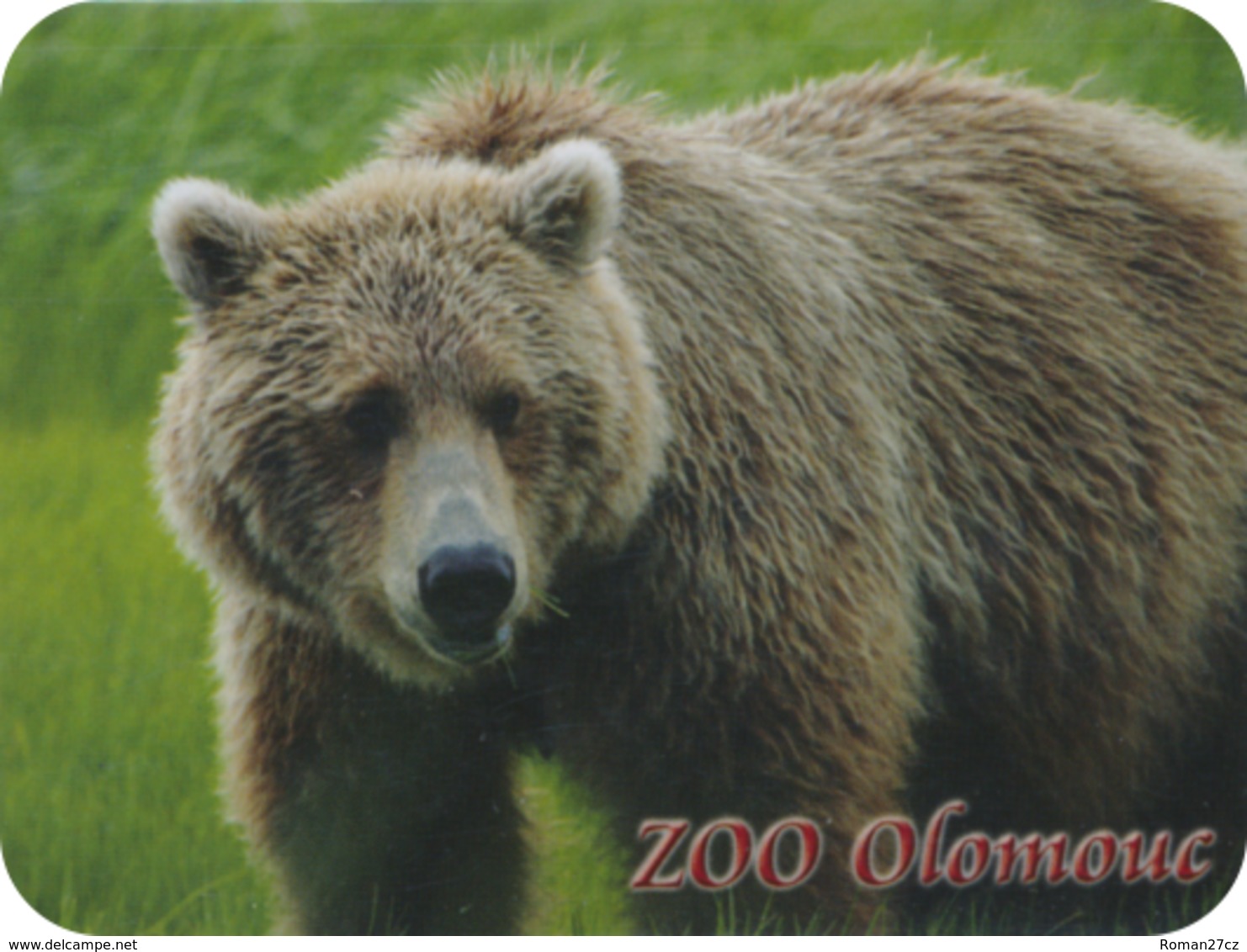 Zoo Olomouc (CZ) - Bear - Animals & Fauna