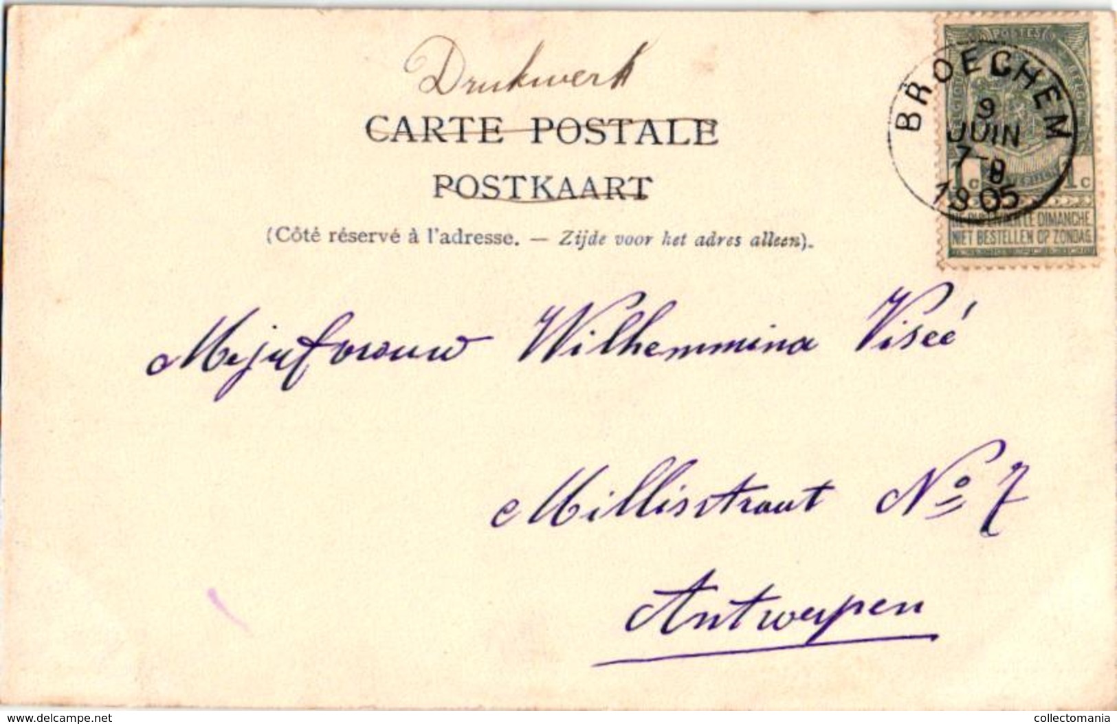 1 Oude  Postkaart   Broechem   Zicht In De Geldstraat    Bakker   1905    Uitg. Hoelen  N°529 - Ranst