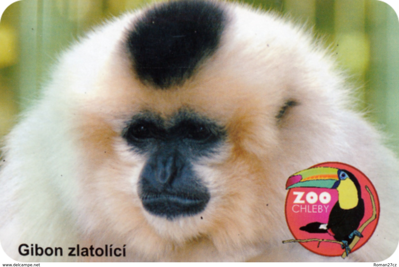 Zoo Chleby (CZ) - Gibbon - Dieren & Fauna