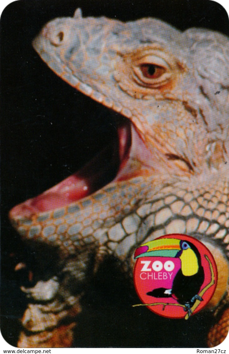 Zoo Chleby (CZ) - Iguana - Dieren & Fauna