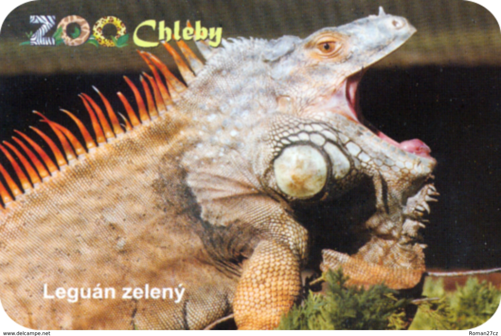 Zoo Chleby (CZ) - Iguana - Animaux & Faune