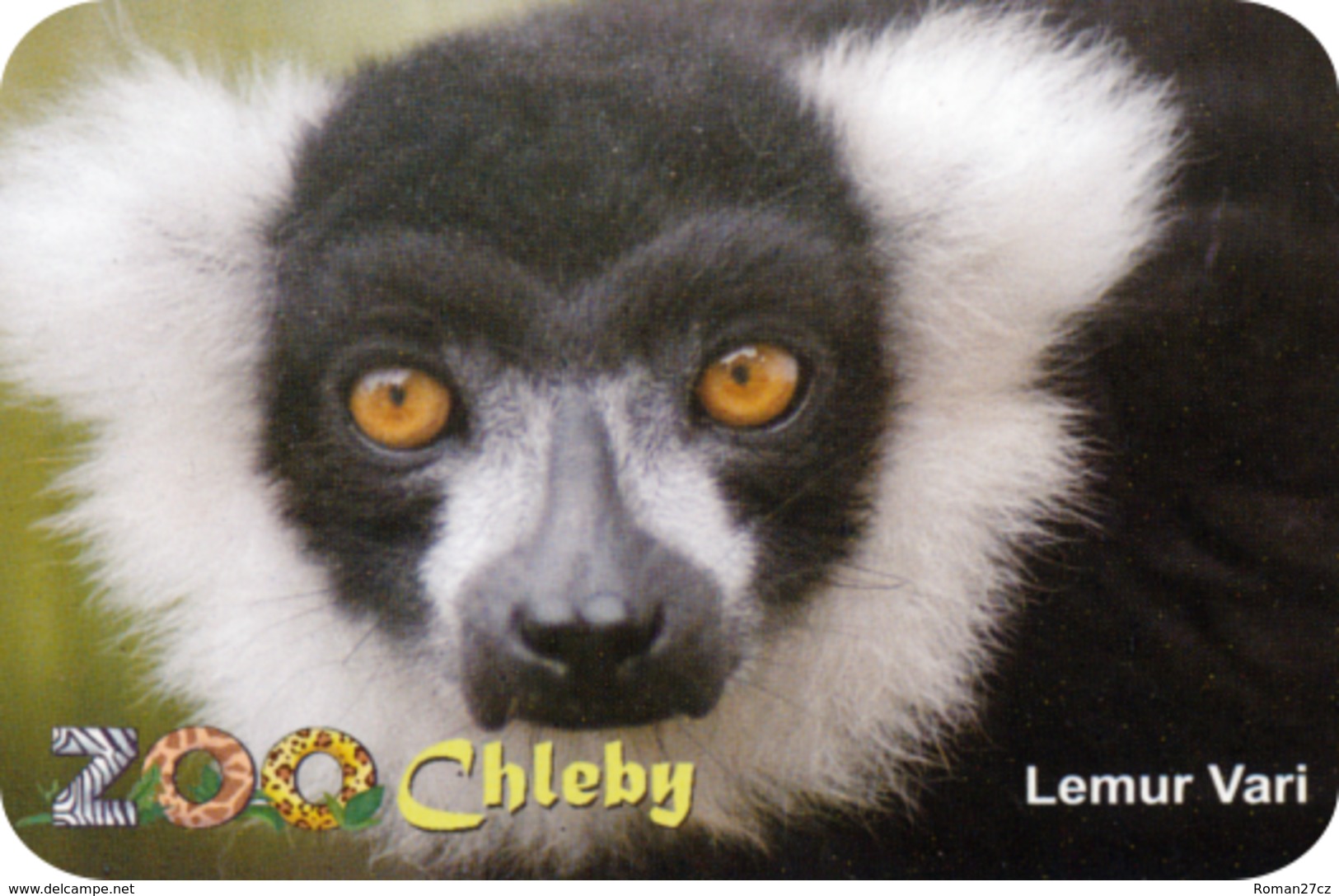 Zoo Chleby (CZ) - Black And White Lemur - Animali & Fauna