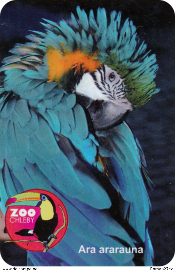 Zoo Chleby (CZ) - Macaw - Tierwelt & Fauna