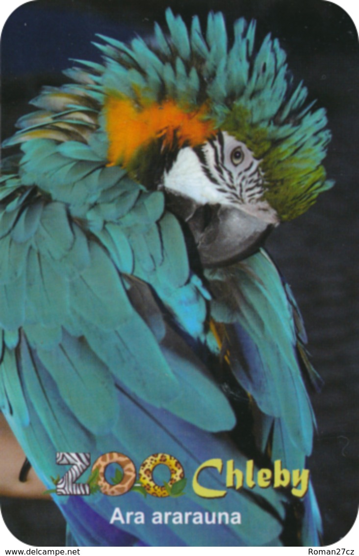 Zoo Chleby (CZ) - Macaw - Dieren & Fauna