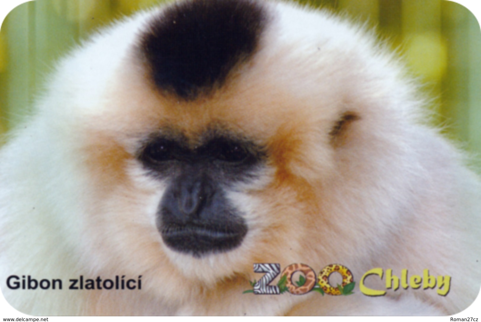 Zoo Chleby (CZ) - Gibbon - Tierwelt & Fauna