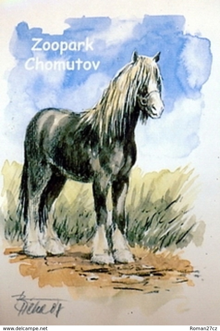 Zoopark Chomutov (CZ) - Horse - Dieren & Fauna