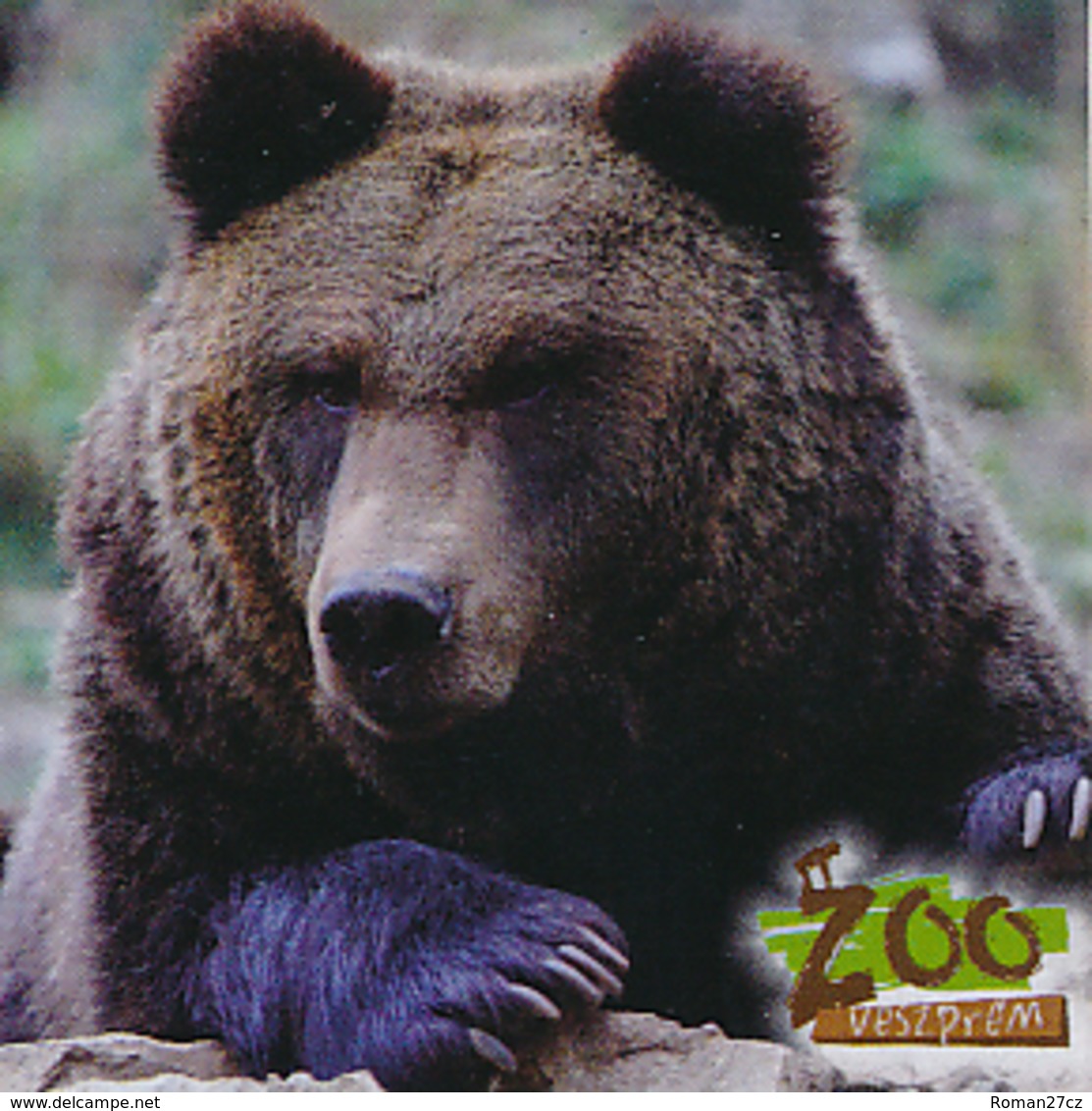 Zoo Veszprem (HU) - Bear - Dieren & Fauna