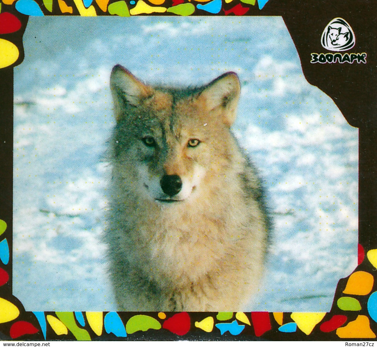 Zoo Izhevsk (RU) - Wolf - Animaux & Faune