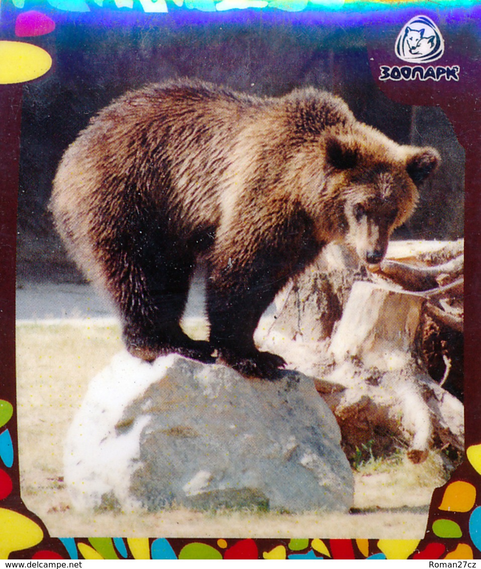 Zoo Izhevsk (RU) - Bear - Animaux & Faune