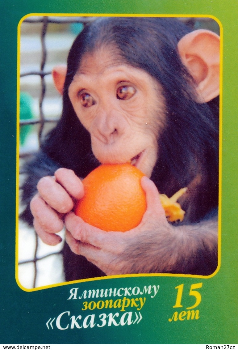 Zoo Skazka Yalta (UA / RU - Crimea) - Chimpanzee - Animals & Fauna