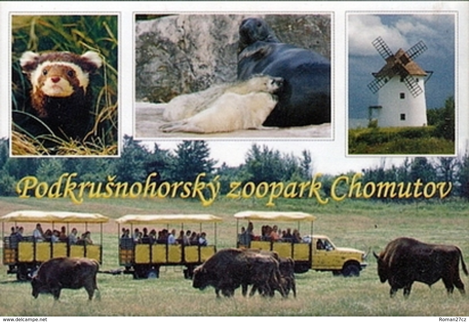 Zoopark Chomutov (CZ) - Marbled Polecat, Seal, Wisent, Mill - Animali & Fauna