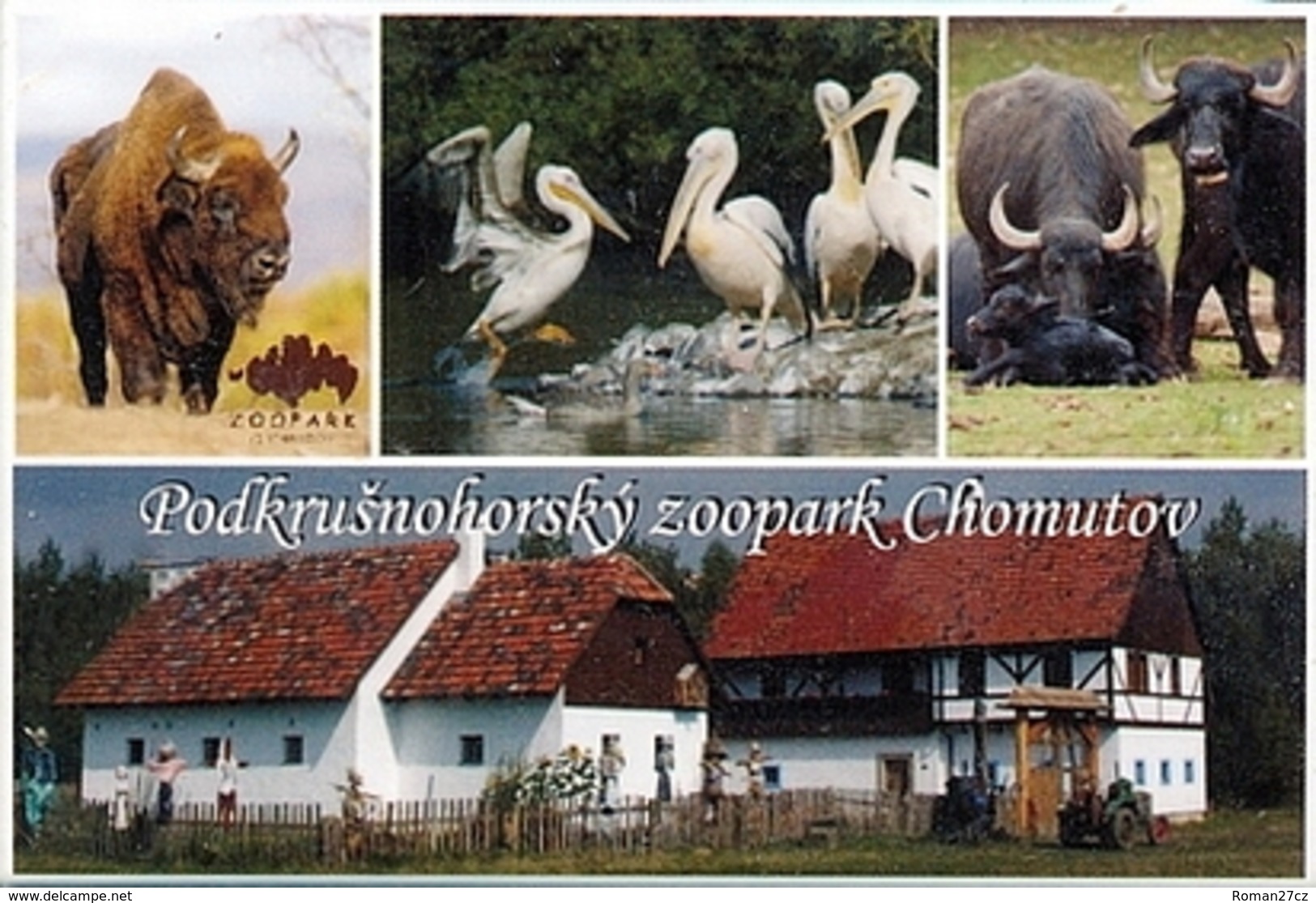 Zoopark Chomutov (CZ) - Wisent, Pelican, Buffalo, Farm - Dieren & Fauna