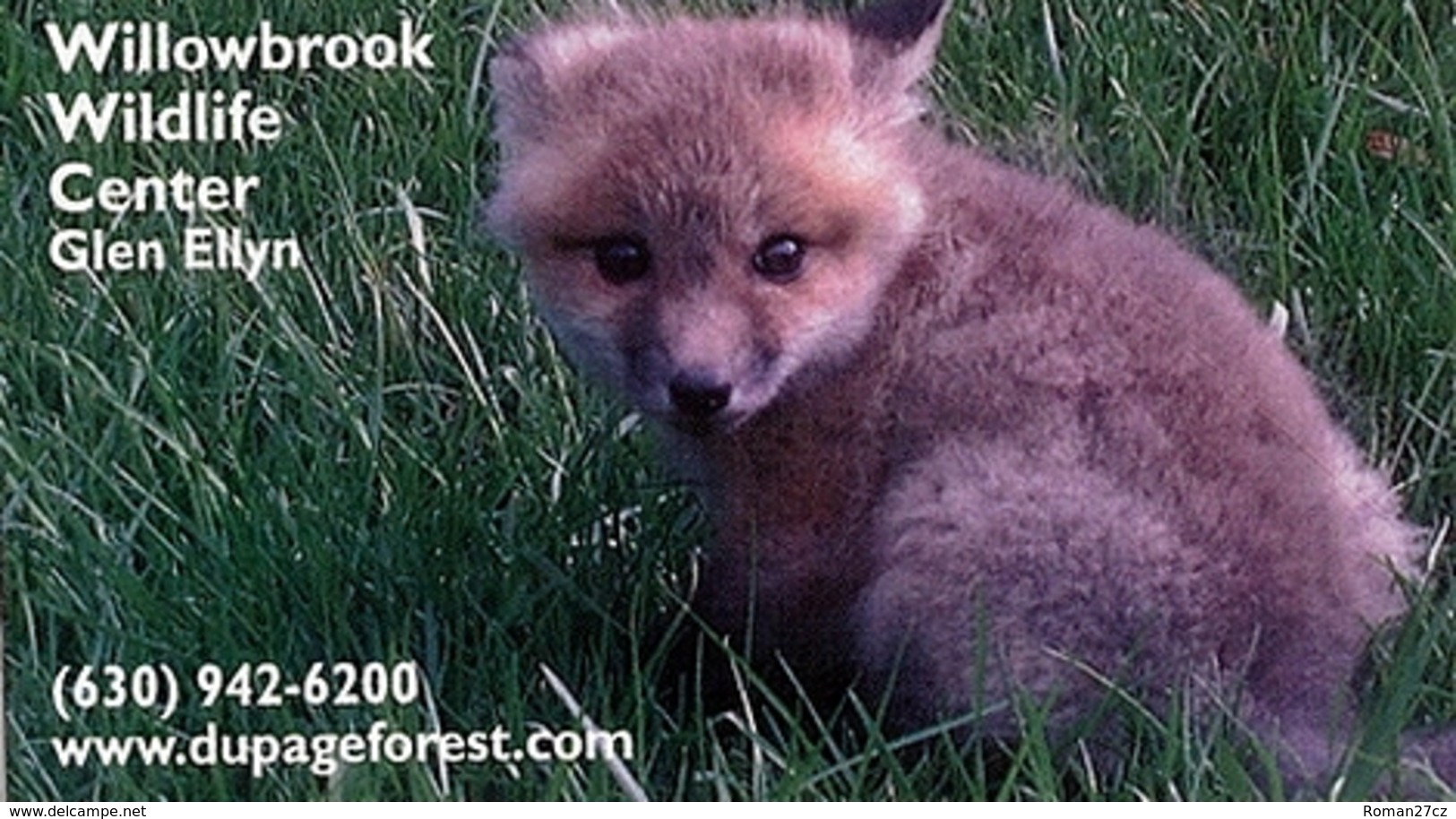 Willowbrook Wildlife Center (US) - Baby Fox - Dieren & Fauna