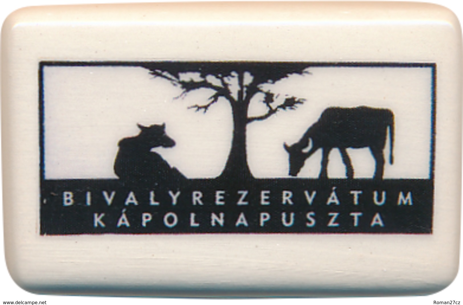 Bivalyrezervatum Kapolnapuszta (HU) - Buffalo - Animali & Fauna