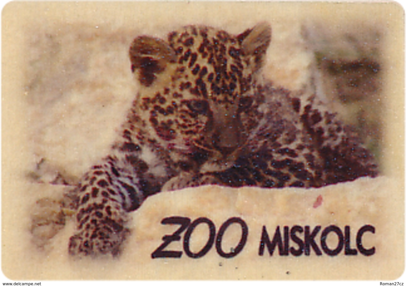 ZOO Miskolc (HU) - Baby Leopard - Animals & Fauna