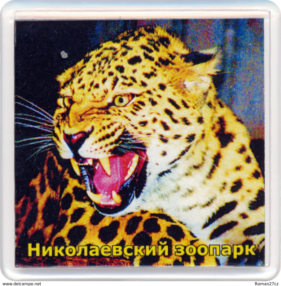 ZOO Nikolaev (UA) - Leopard - Animali & Fauna