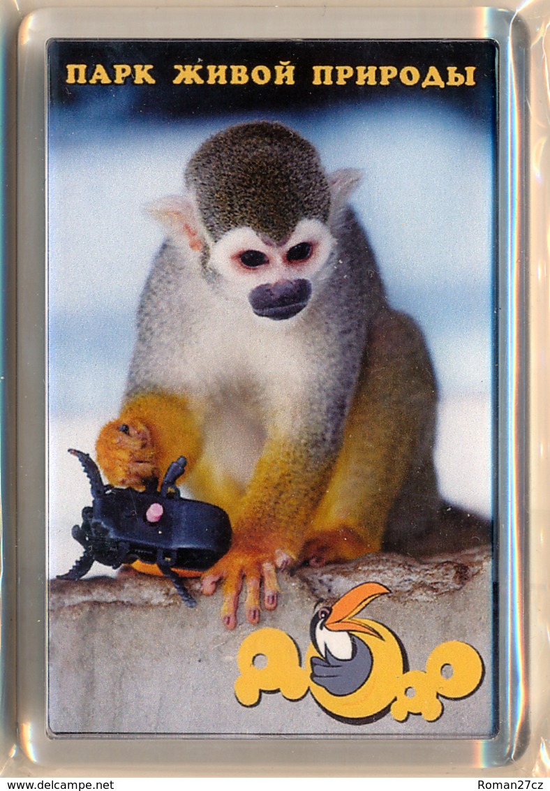 Park Of Living Nature "Dodo" Anapa (RU) - Squirrel Monkey - Animali & Fauna