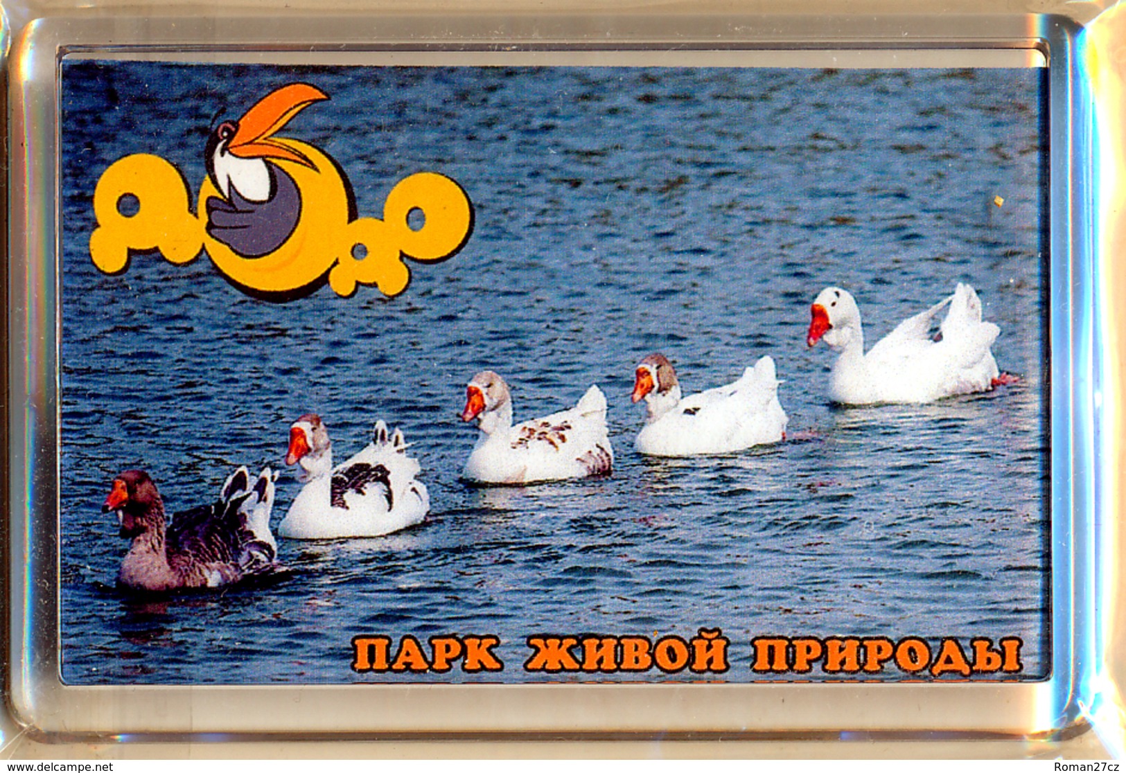 Park Of Living Nature "Dodo" Anapa (RU) - Geese - Animaux & Faune