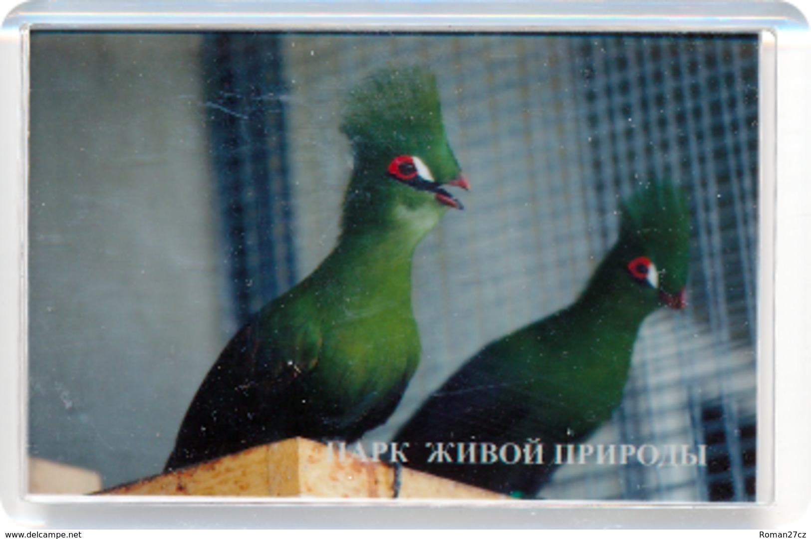 Park Of Living Nature "Dodo" Anapa (RU) - Turaco - Animals & Fauna