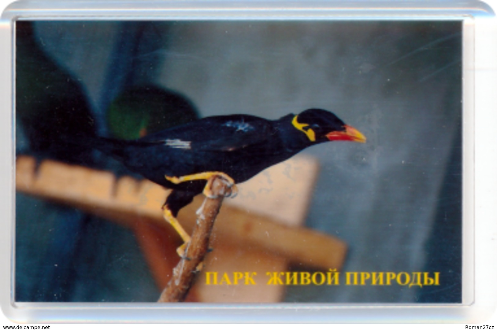 Park Of Living Nature "Dodo" Anapa (RU) - Beo - Animals & Fauna