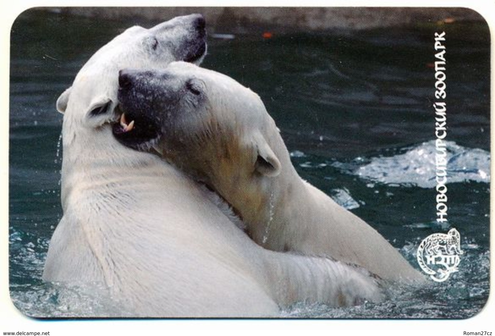 ZOO Novosibirsk (RU) - Polar Bear - Tierwelt & Fauna