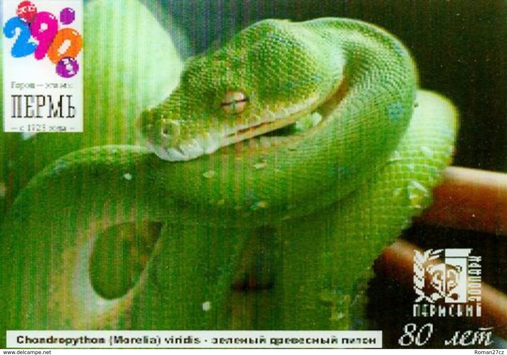 ZOO Perm (RU) - Tree Python - 3D Magnet - Animals & Fauna